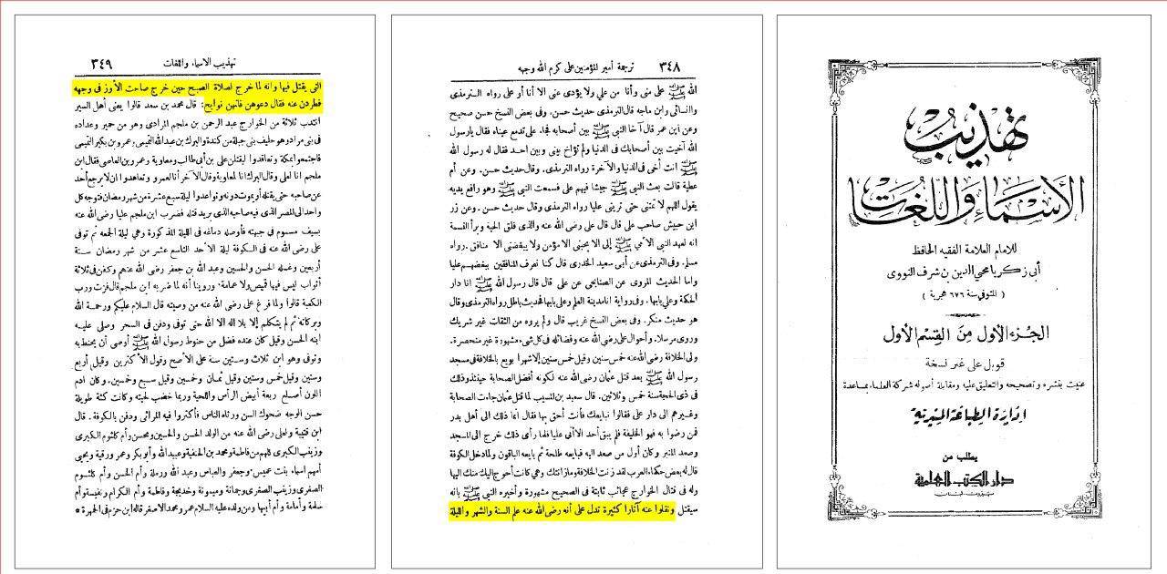 محیی الدین نووی (عالم سرشناس اهل سنت ): بر اساس روایات فراوان علی بن ابی طالب از سال و ماه و شب شهادتش خبر داشت!